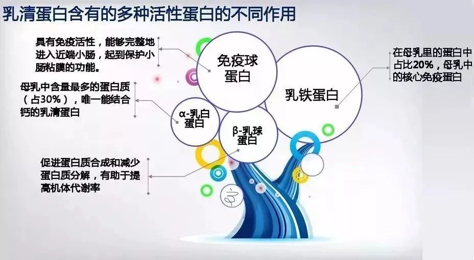 为什么建议宝宝吃乳铁蛋白？？？？乳铁蛋白不得不知的好处