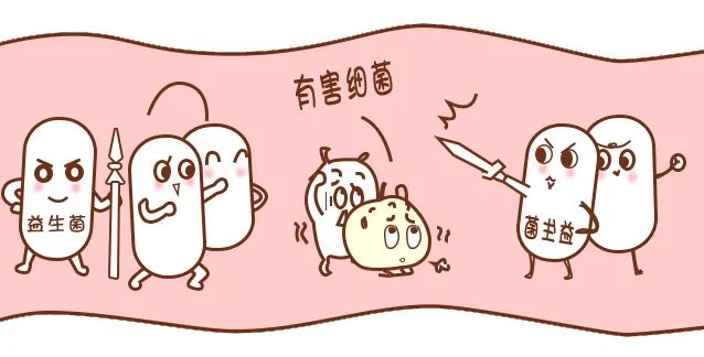 胃癌元凶幽门螺杆菌，，，益生菌竟是根除它的好帮手