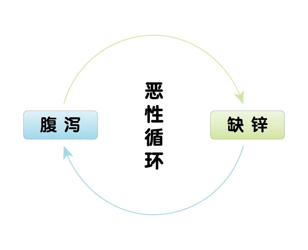 宝宝腹泻期间，，为什么要补锌？？